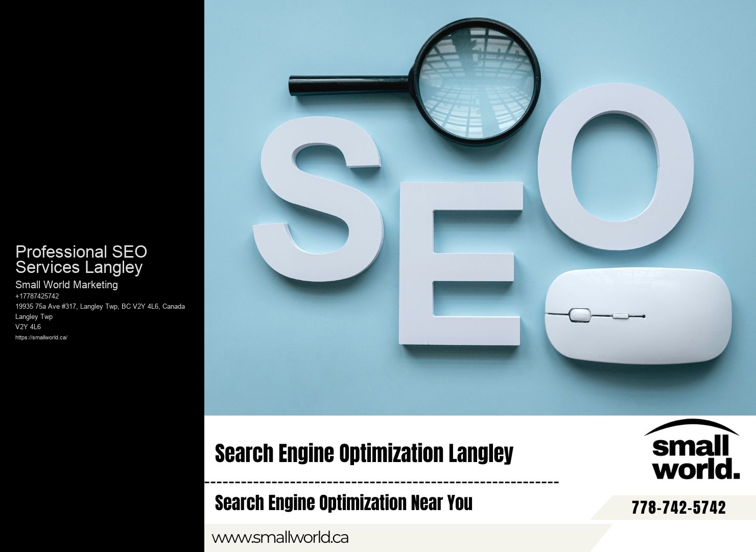 Professional SEO Services Langley SEO Optimization Tips