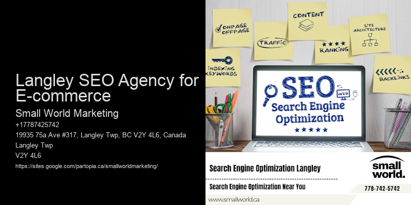 Langley SEO Agency for E-commerce