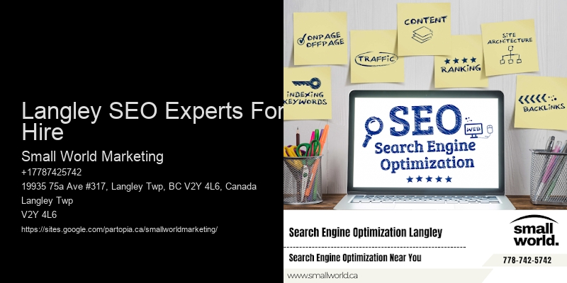 Langley SEO Experts For Hire