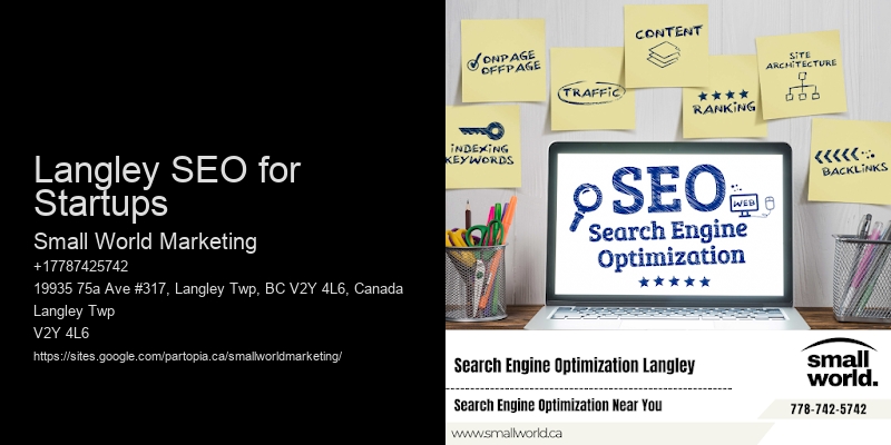 Langley SEO for Startups