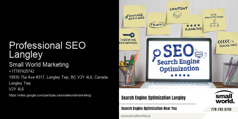 Professional SEO Langley