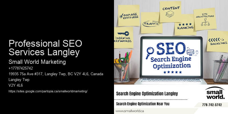 Professional SEO Services Langley