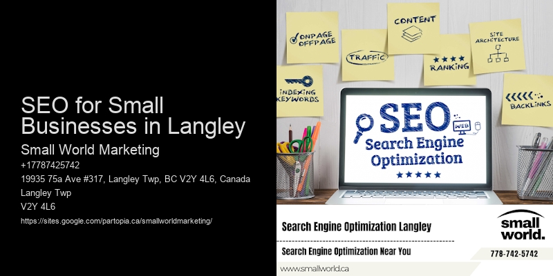 SEO for Small Businesses in Langley
