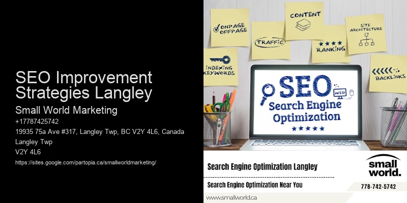 SEO Improvement Strategies Langley