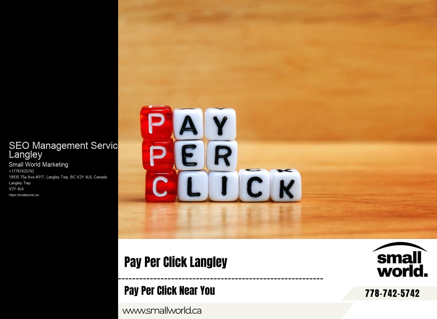 SEO Service Providers SEO Management Services Langley