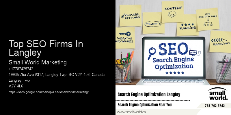 Top SEO Firms In Langley