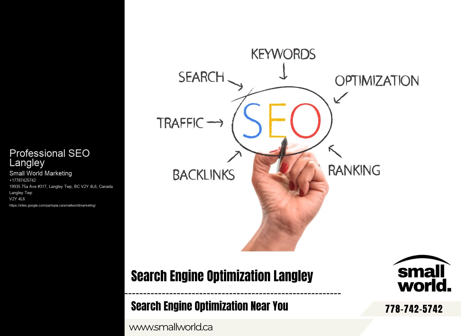 Professional SEO Langley