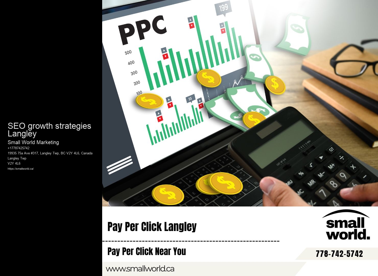 SEO growth strategies Langley SEO and online presence