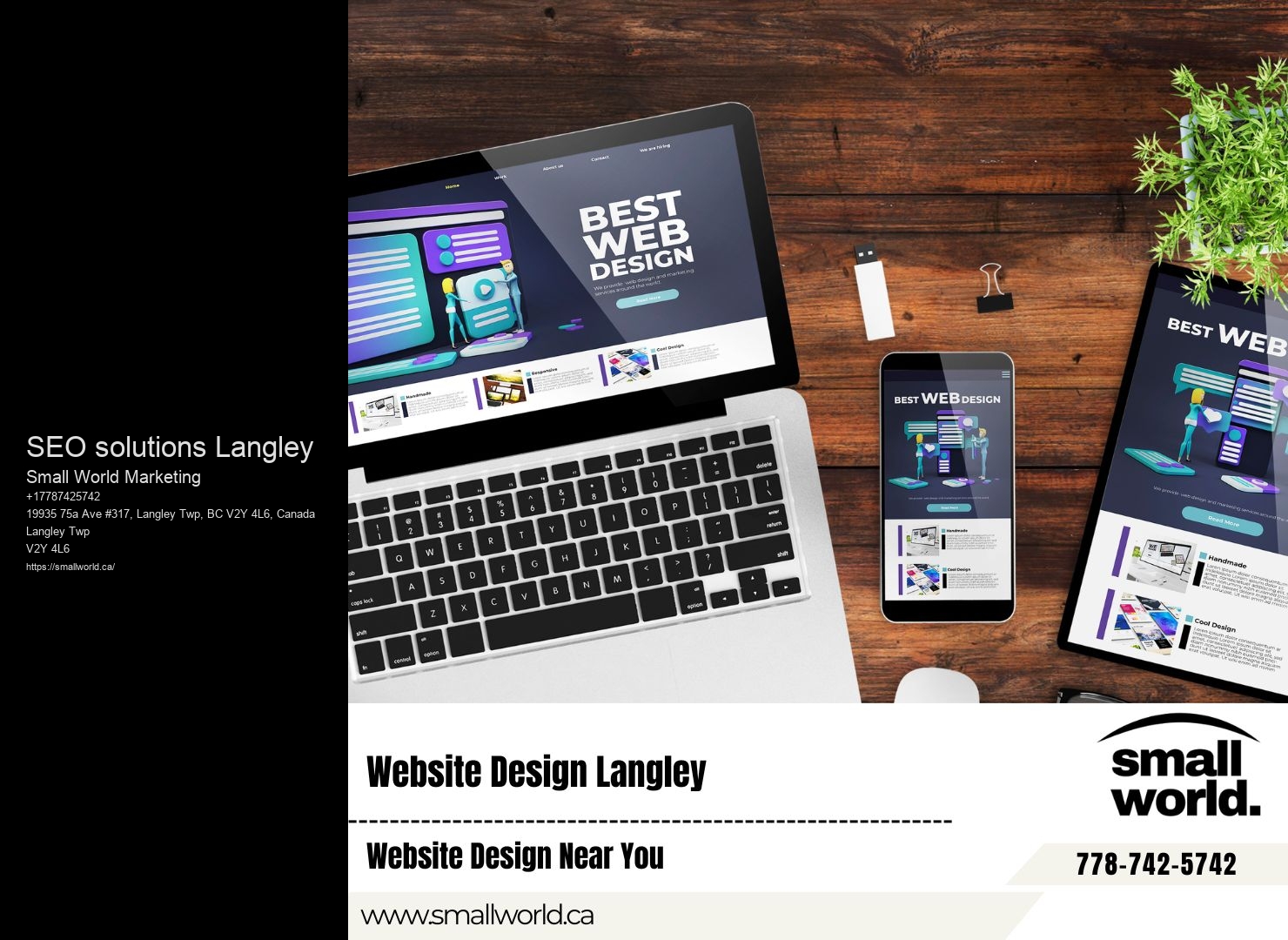 SEO solutions Langley SEO consultation services